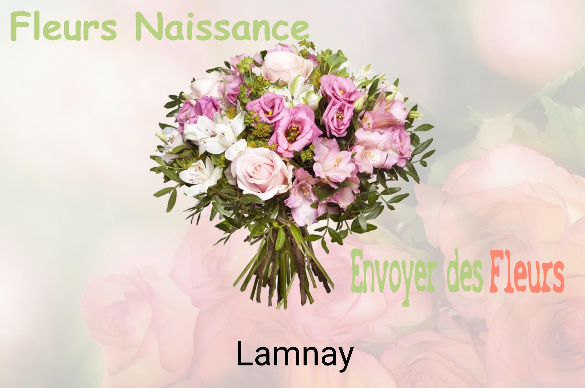 Bouquet de fleurs de naissance livré à Lamnay